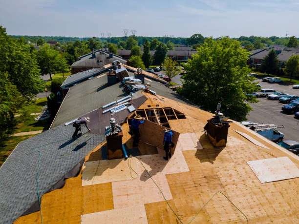 Trusted Storm Damage Roof Repair service in Pascagoula, MS - Brentwood Metal Roofing